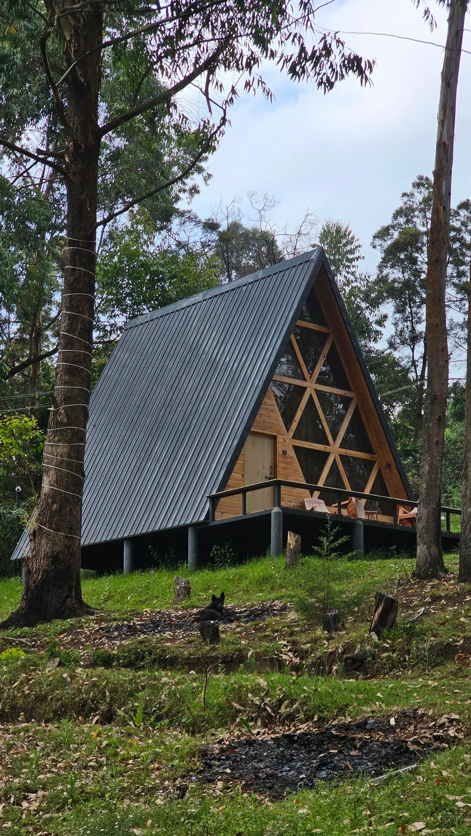 Uma área de cabine em forma de A projetada para cuidados práticos do dia a dia